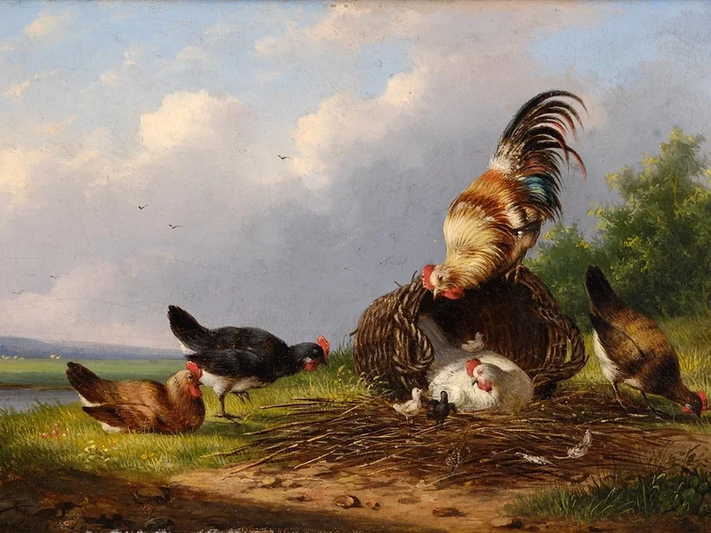 1822-Franz van Severdonck - Pollame variopinto